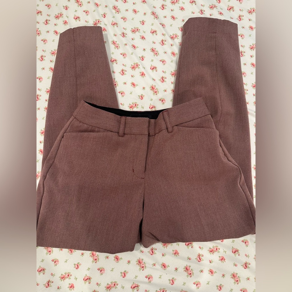 Express Slacks